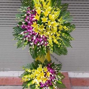 ke-hoa-chia-buon-huong-tram-161221