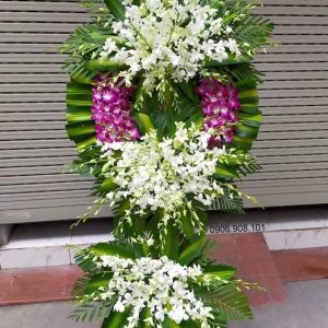 ke-hoa-chia-buon-mien-cuc-lac-101221